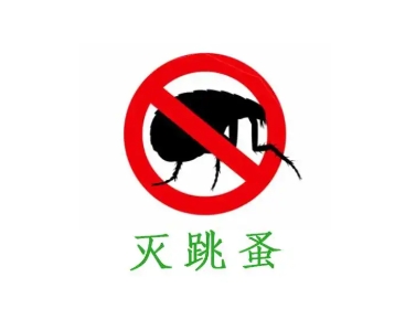 无锡灭跳蚤