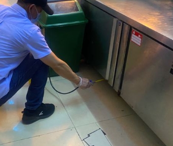 无锡蚊蝇治理电话