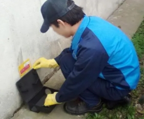 无锡四害消杀