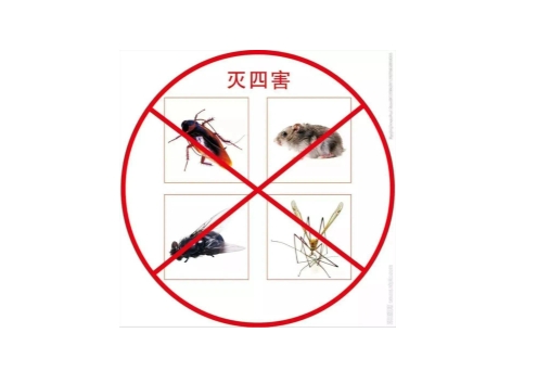 无锡害虫消杀防治